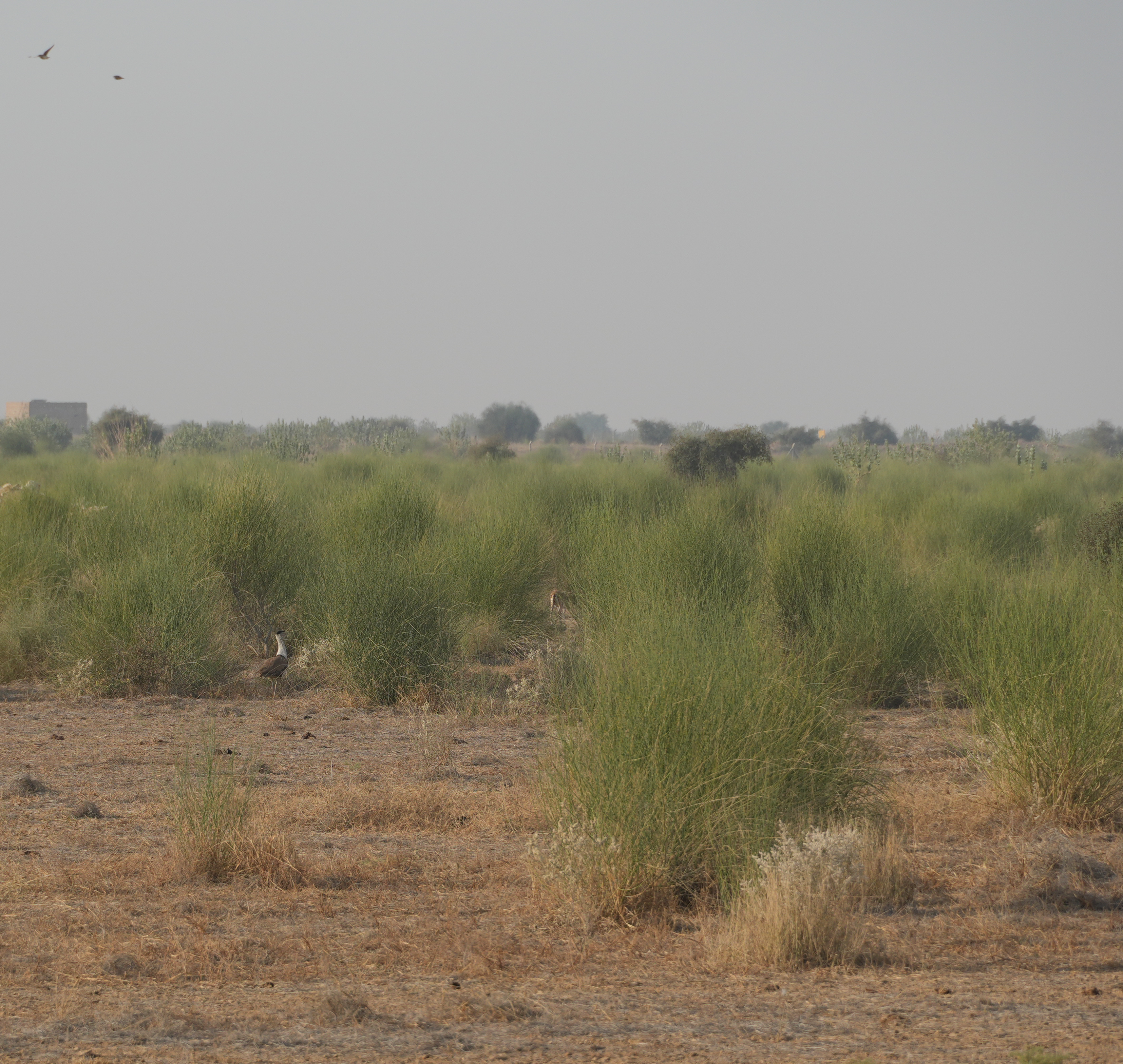 Pasted Graphic 2.png